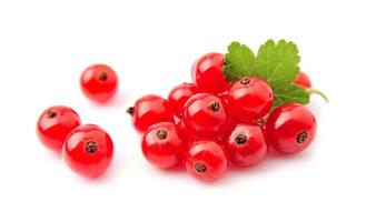 Red currant close up photo