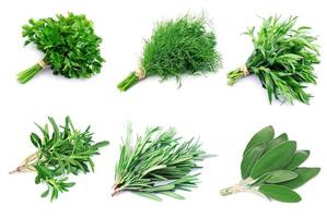 Collage of green herbs photo