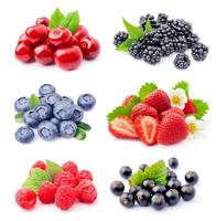 Collection of berries photo