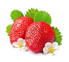 Strawberry on white background photo
