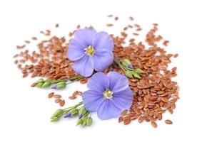 Flax seeds with flowers photo