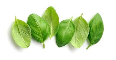 hojas de albahaca fresca. foto