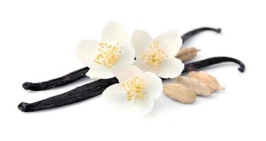 Vanilla sticks with flowers photo