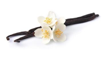 Vanilla sticks with flowers photo