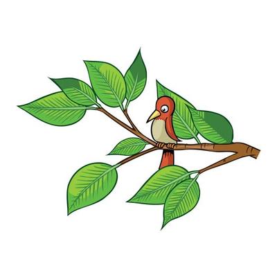 natural colorful bird vector pro illustration