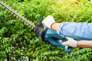 Gardener holding electric hedge trimmer to cut the treetop in garden. photo