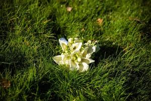 hermosa decoración de bodas con diferentes hojas verdes exóticas de rees para el concepto de naturaleza conjunto de hojas. ramo delicado. ramo de rosas, peonías, calas para la novia y el novio de la boda foto