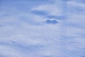 An even layer of fresh snow in winter. Beautiful fresh snow in the afternoon. photo