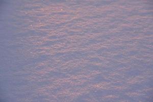 Pink snow winters in the light of the setting sun. Pink and blue winter fluffy snow in winter. A snowdrift in the rays of the setting sun. photo