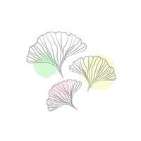 Ginkgo biloba leaves with color spot isolated on white. Minimal outline for branding. Beautiful asian style design for logo, textile, wallpaper, wrapping and etc. vector