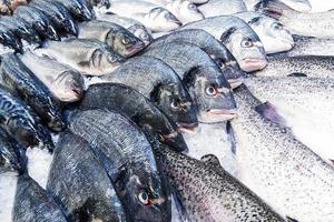 pescado en hielo en el mercado de pescado, venta de pescado dorado foto