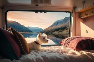 A dog sits in a cozy campervan with a beautiful view of the Scottish Highlands and a Loch in Scotland West highland Terrier looks comfy photo
