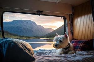 A dog sits in a cozy campervan with a beautiful view of the Scottish Highlands and a Loch in Scotland West highland Terrier looks comfy photo