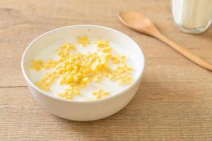 cereals with fresh milk photo