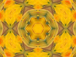 Yellow feather kaleidoscope floral pattern with some blue and red color. Abstract unique and aesthetic background. photo
