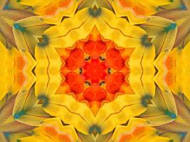 Yellow feather kaleidoscope floral pattern with some blue and red color. Abstract unique and aesthetic background. photo