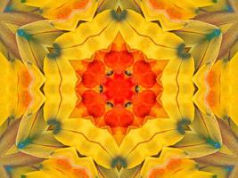 Yellow feather kaleidoscope floral pattern with some blue and red color. Abstract unique and aesthetic background. photo