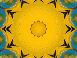 Yellow feather kaleidoscope floral pattern with some blue and red color. Abstract unique and aesthetic background. photo