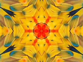 Yellow feather kaleidoscope floral pattern with some blue and red color. Abstract unique and aesthetic background. photo