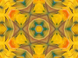 Yellow feather kaleidoscope floral pattern with some blue and red color. Abstract unique and aesthetic background. photo