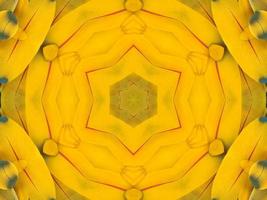 Yellow feather kaleidoscope floral pattern with some blue and red color. Abstract unique and aesthetic background. photo