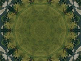 Green meadow aesthetic kaleidoscope floral pattern abstract unique texture background photo