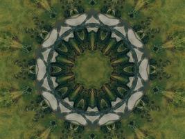 Green meadow aesthetic kaleidoscope floral pattern abstract unique texture background photo