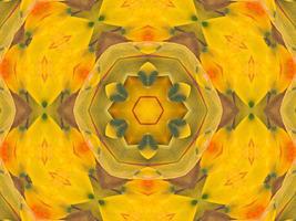 Yellow feather kaleidoscope floral pattern with some blue and red color. Abstract unique and aesthetic background. photo