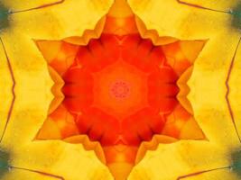 Yellow feather kaleidoscope floral pattern with some blue and red color. Abstract unique and aesthetic background. photo