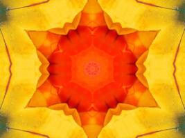 Yellow feather kaleidoscope floral pattern with some blue and red color. Abstract unique and aesthetic background. photo