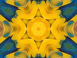 Yellow feather kaleidoscope floral pattern with some blue and red color. Abstract unique and aesthetic background. photo