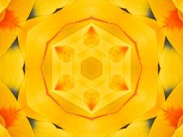 Yellow feather kaleidoscope floral pattern with some blue and red color. Abstract unique and aesthetic background. photo