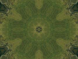 Green meadow aesthetic kaleidoscope floral pattern abstract unique texture background photo