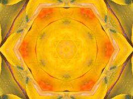 Yellow feather kaleidoscope floral pattern with some blue and red color. Abstract unique and aesthetic background. photo