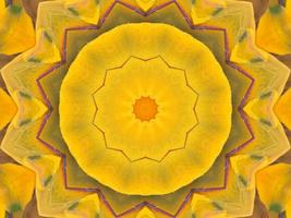 Yellow feather kaleidoscope floral pattern with some blue and red color. Abstract unique and aesthetic background. photo