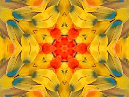 Yellow feather kaleidoscope floral pattern with some blue and red color. Abstract unique and aesthetic background. photo