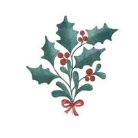 Christmas decorations watercolor style. Holly berry, fir, branch, pine cone, spruce, isolated on white background. vector