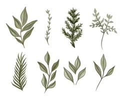 Set of herbal branch. green and gld leaves. Wedding concept. Vector arrangements for greeting card or invitation design.