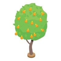 Yellow pear fruit tree icon, isometric style vector