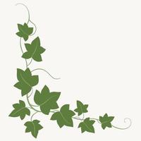 Ivy Leaf Cliparts, Stock Vector and Royalty Free Ivy Leaf Illustrations