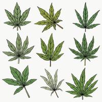 Cannabis leaf freehand drawing flat design. vector