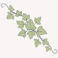 Floral ivy drawing decorative ornament flat design. vector