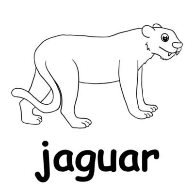 kids line illustration coloring jaguar. animal outline 15630487 Vector Art  at Vecteezy