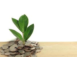 concepto de finanzas e inversiones - crecimiento de dinero - crecimiento de plantas a partir de un montón de monedas foto