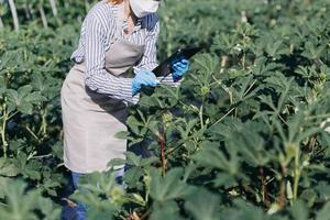 Futuristic businessman farms vegetables and crops using modern AI technology using mobile phones, temperature and humidity sensors, water tracking, climate control, holographic data data icons. photo