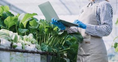 Futuristic businessman farms vegetables and crops using modern AI technology using mobile phones, temperature and humidity sensors, water tracking, climate control, holographic data data icons. photo