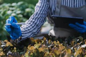 Futuristic businessman farms vegetables and crops using modern AI technology using mobile phones, temperature and humidity sensors, water tracking, climate control, holographic data data icons. photo