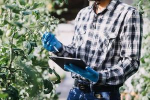 Futuristic businessman farms vegetables and crops using modern AI technology using mobile phones, temperature and humidity sensors, water tracking, climate control, holographic data data icons. photo