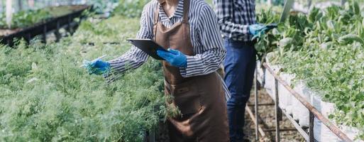 Futuristic businessman farms vegetables and crops using modern AI technology using mobile phones, temperature and humidity sensors, water tracking, climate control, holographic data data icons. photo