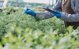 Futuristic businessman farms vegetables and crops using modern AI technology using mobile phones, temperature and humidity sensors, water tracking, climate control, holographic data data icons. photo